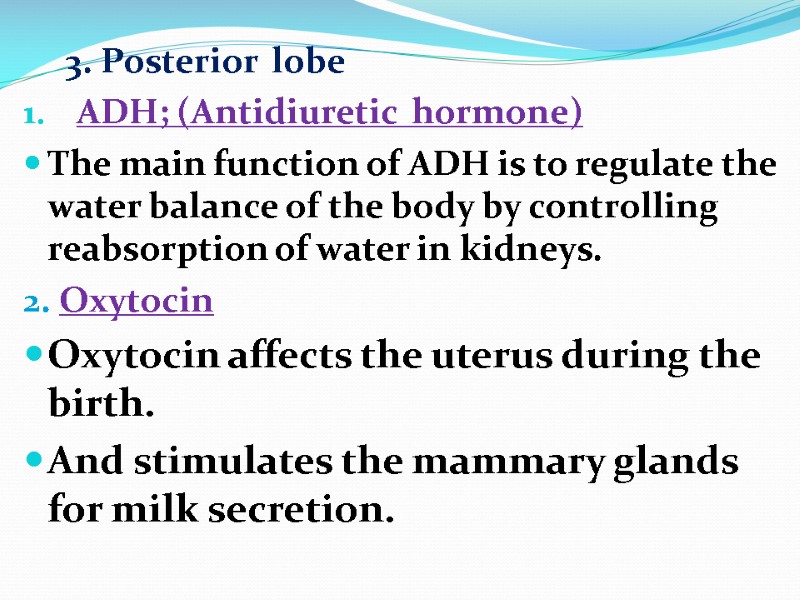 3. Posterior  lobe  ADH; (Antidiuretic  hormone) The main function of ADH